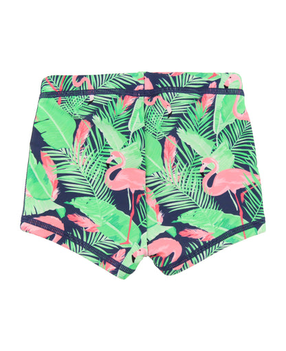 PREORDER | Baby Boys Flamingo Frenzy Swim Shorties