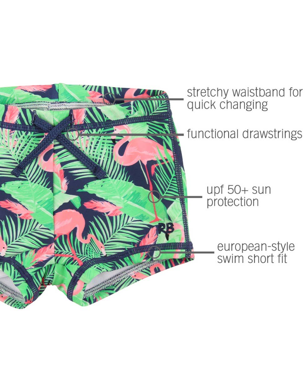 PREORDER | Baby Boys Flamingo Frenzy Swim Shorties