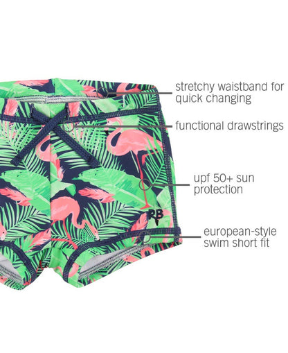 PREORDER | Baby Boys Flamingo Frenzy Swim Shorties